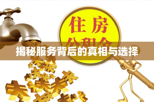 东河揭秘服务背后的真相与选择