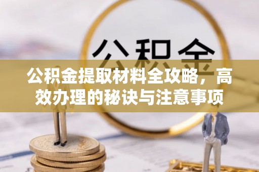 东河公积金提取材料全攻略，高效办理的秘诀与注意事项