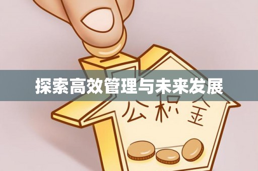 东河探索高效管理与未来发展