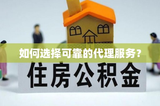 东河如何选择可靠的代理服务？