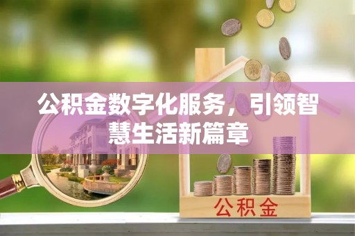 东河公积金数字化服务，引领智慧生活新篇章