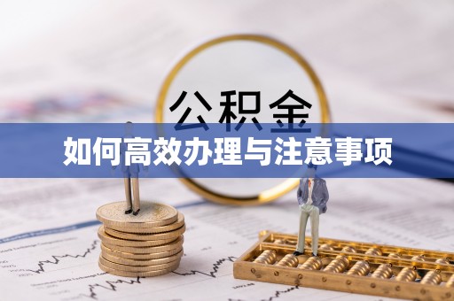 东河如何高效办理与注意事项