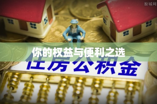 东河你的权益与便利之选