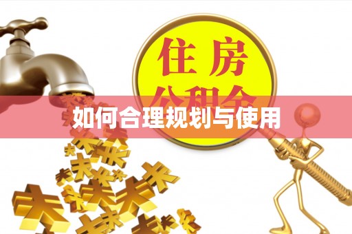 东河如何合理规划与使用