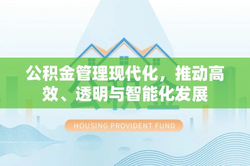 东河公积金管理现代化，推动高效、透明与智能化发展