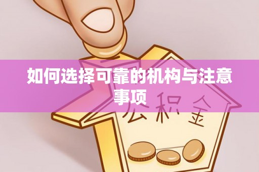 东河如何选择可靠的机构与注意事项