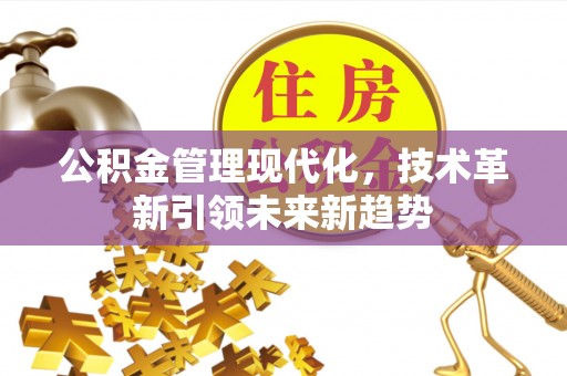 东河公积金管理现代化，技术革新引领未来新趋势