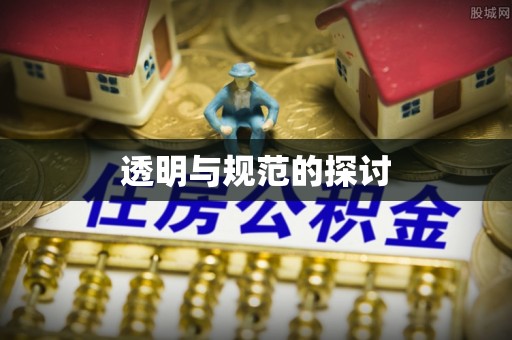 东河透明与规范的探讨
