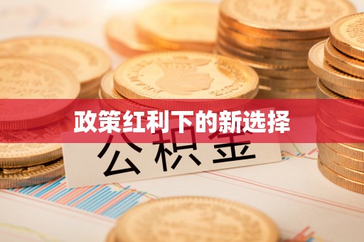 东河政策红利下的新选择