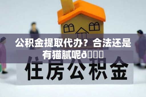 东河公积金提取代办？合法还是有猫腻呢😏