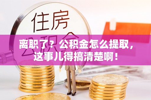 东河离职了？公积金怎么提取，这事儿得搞清楚啊！
