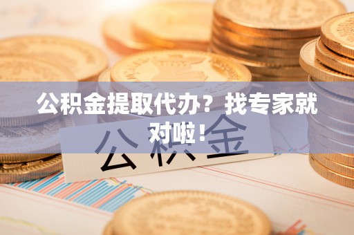 东河公积金提取代办？找专家就对啦！