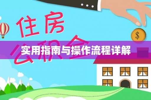 东河实用指南与操作流程详解