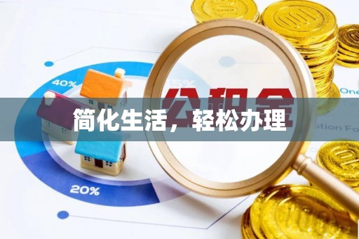 东河简化生活，轻松办理