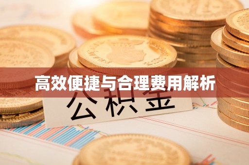 东河高效便捷与合理费用解析
