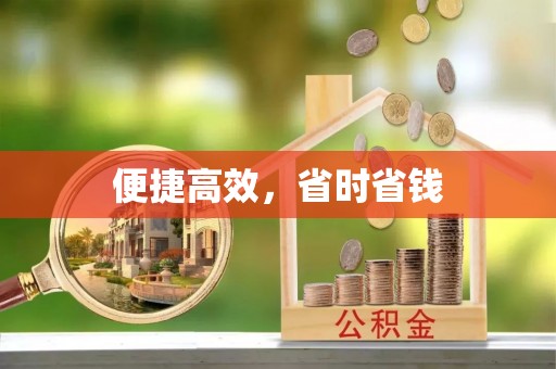 东河便捷高效，省时省钱