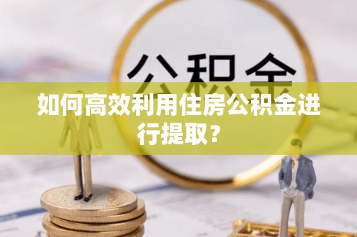 东河如何高效利用住房公积金进行提取？