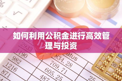 东河如何利用公积金进行高效管理与投资