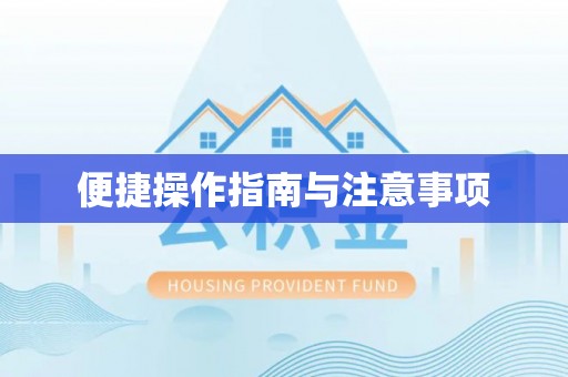 东河便捷操作指南与注意事项